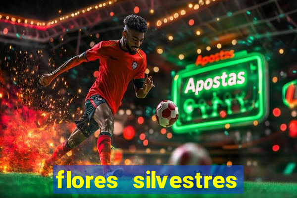 flores silvestres desbravadores desbravadores 25